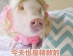 娱乐718吃瓜网论坛,718娱乐吃瓜网带你探秘热门事件与幕后真相
