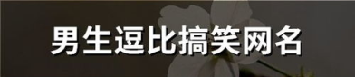 逗比网名,趣味横生，个性张扬的昵称盛宴
