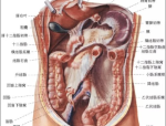 斗图表情包输入法下载,热门斗图表情包输入法下载指南