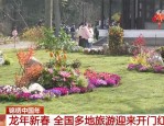 锦绣中国年｜透过数据看“热度” 全国多地旅游市场迎来开门红2025/6/15国内旅游