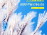 可爱q版萌图,q版萌图可爱魅力大解析