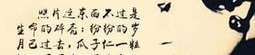 张爱玲最火的名句经典语录,爱情与人生的深刻洞察