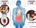 比基尼卡图片大全,全球比基尼卡图片精选集锦