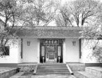 卡通美女头像 现代,现代卡通美女头像，演绎时尚魅力新篇章