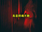 证婚小姐姐,证婚小姐姐的浪漫瞬间