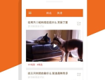 1137大但人文艺术,人文艺术的曙光与传承