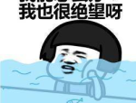 东南亚人体大胆大片一级gogo,大胆探索与多元文化交融