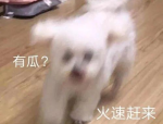回应分手发文痛斥否定争议…一天年光文娱圈中曝绝伦个大瓜-认为是假音讯本来是真音讯王一博、撒贝宁、大S个个都离谱-手游吃瓜周报：鸣潮新版本剧情好评如潮碧蓝航路新皮肤涩到离谱 ，回应分手发文痛斥否定争议…