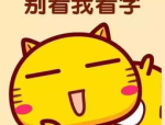 比基尼卡图片大全,全球比基尼卡图片精选集锦