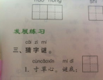 写真是什么意思,探寻摄影作品的深层含义