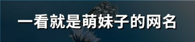 一看就很硬气的网名,霸气女生网名精选解析